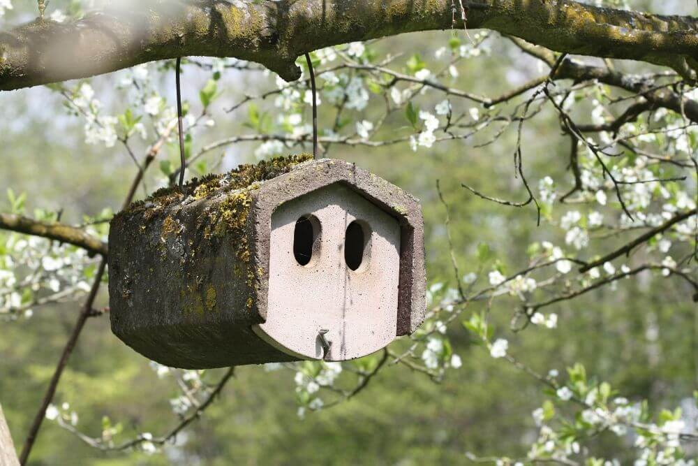Sweet unoccupied bird house hanging from trees in blossom. The photo represents how those suffering with anxiety from empty nest syndrome in Evanston IL feel after their children leave home. Therapy at Evanston Counseling can help | 60201