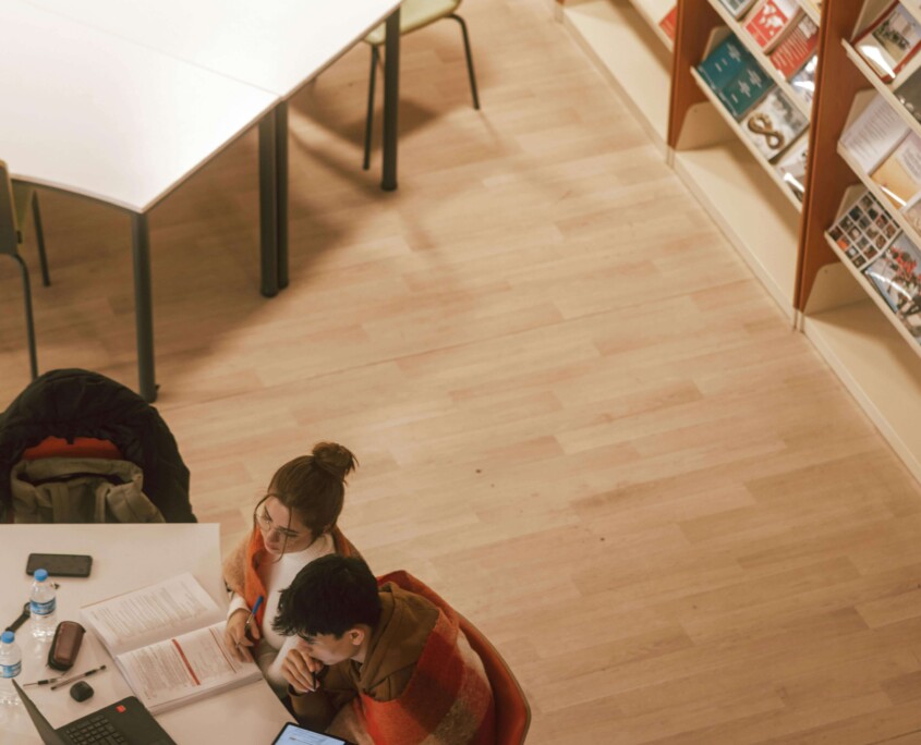 Two college students studying together in a library, surrounded by books and notes. Managing academic stress is easier with therapy for college students in Chicago, IL. An online therapist in Chicago, IL, can help students navigate relationships, mental health, and academic pressures.